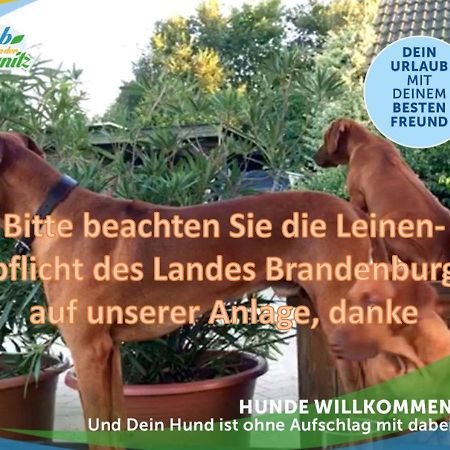Wellness-Suite-Im-Wald-Am-See Kyritz Buitenkant foto