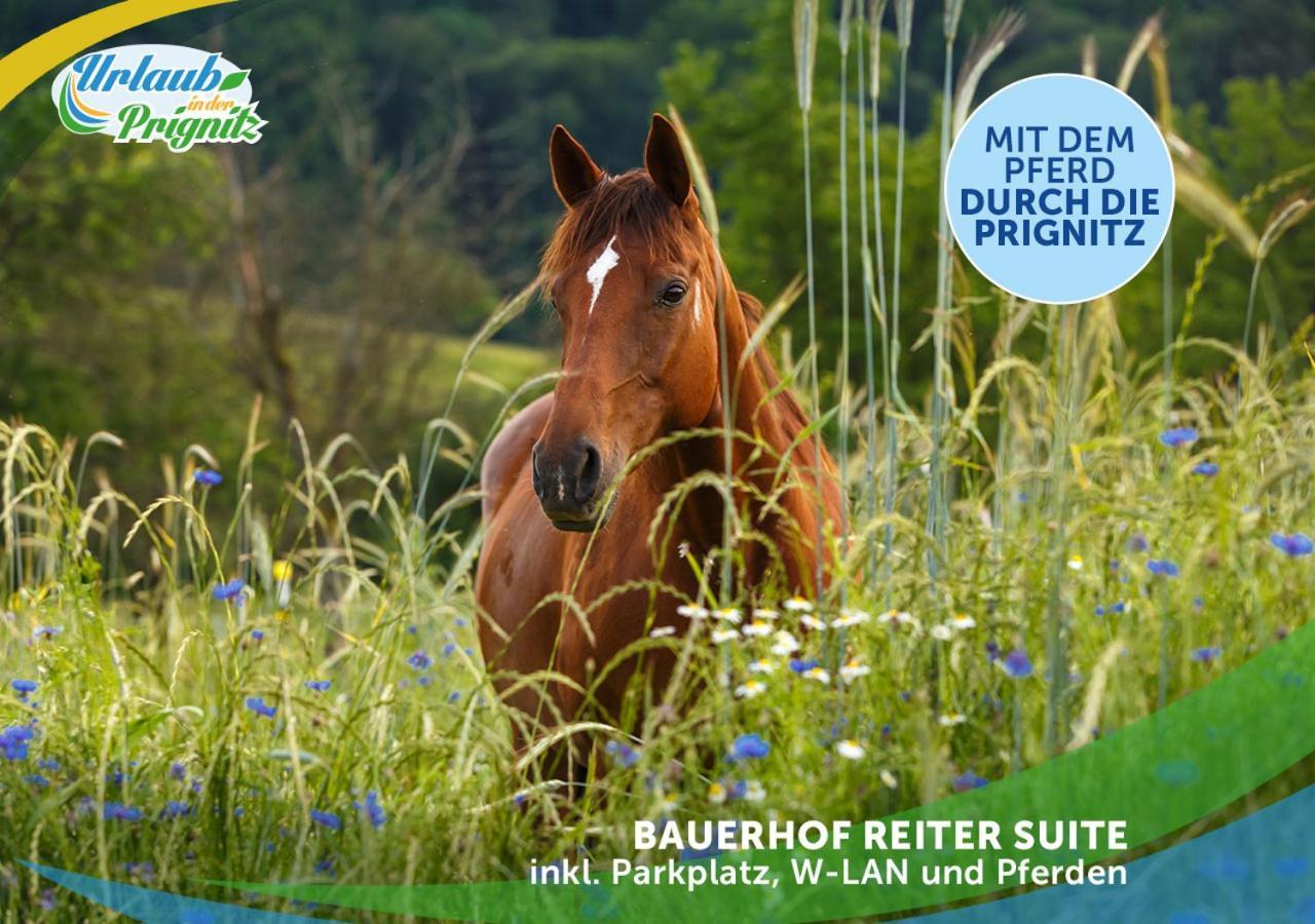 Wellness-Suite-Im-Wald-Am-See Kyritz Buitenkant foto