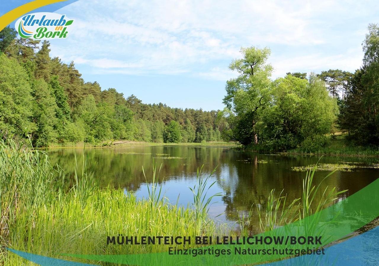 Wellness-Suite-Im-Wald-Am-See Kyritz Buitenkant foto