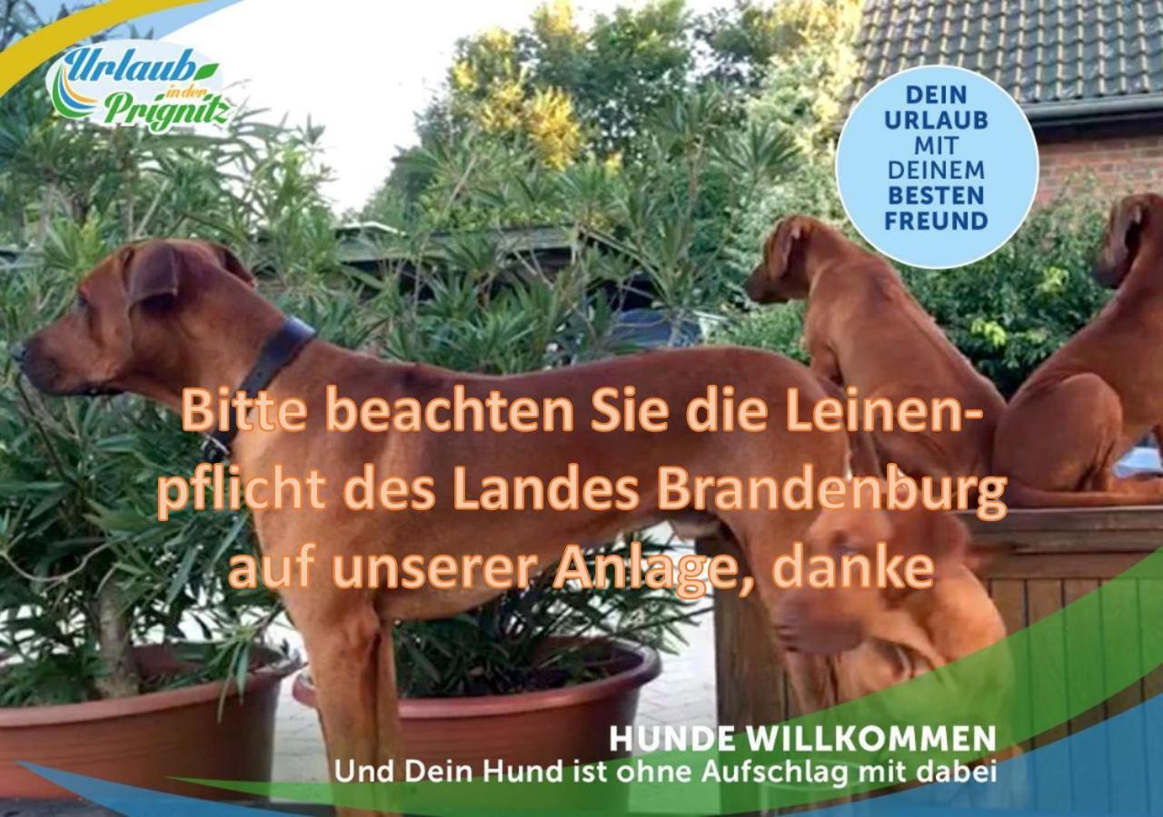 Wellness-Suite-Im-Wald-Am-See Kyritz Buitenkant foto